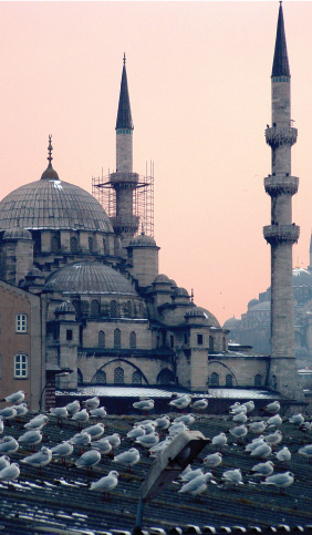 The Blue Mosque