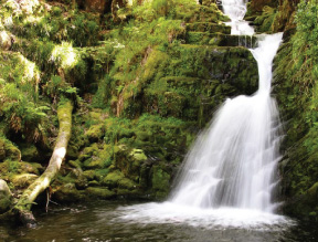 O'Sullivan's Cascade, Killkarny