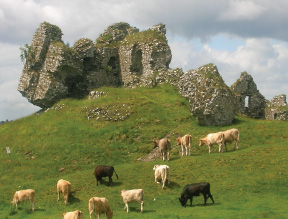 Castle Ruins, Clonmacnoise