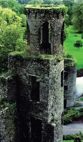 Tower Ruins, Blarney Castle