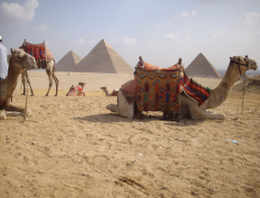The Pyramids of Gizah