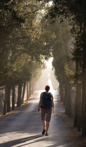 Jesus Trail, Mt Tabor