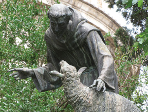 St Mary of the Angels Basilica  Rose Garden